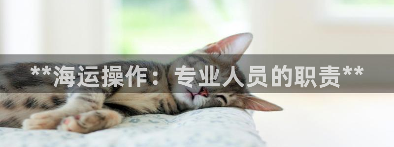 公海船赌网站是多少