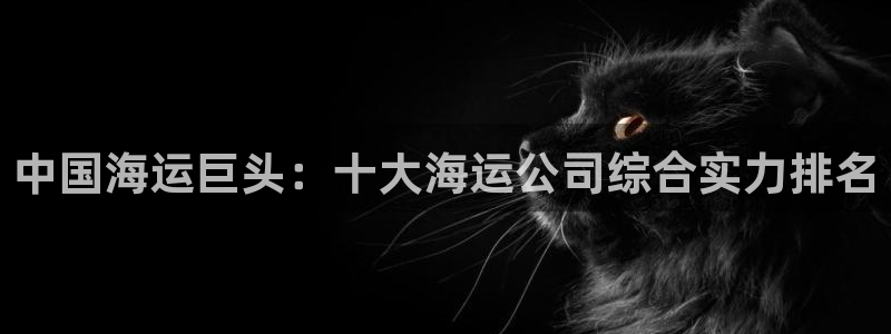公海赌赌船官网