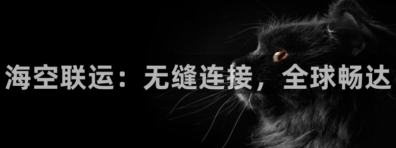公海赌博为什么没人管