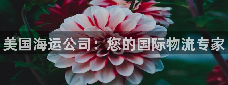 欢迎您来到公海