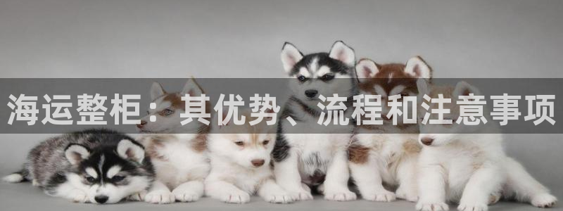 公海 赌船710手机版下载官方
