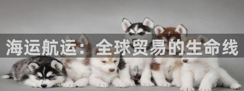 公海赌赌船官网真的吗
