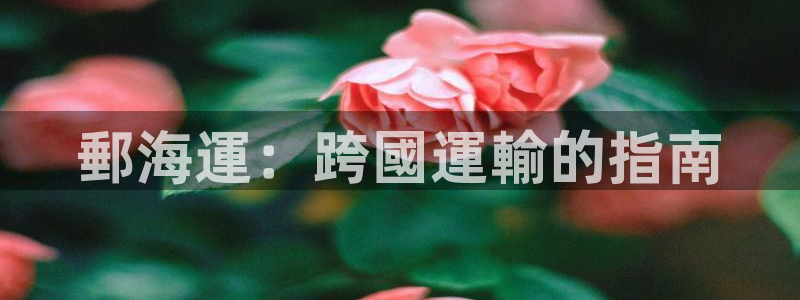 公海赌船官网下载