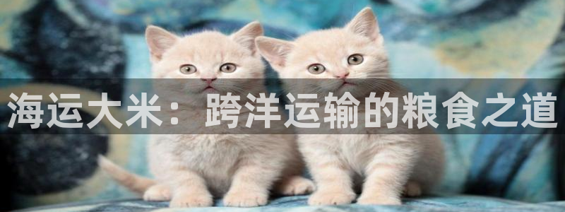 欢迎来到海边