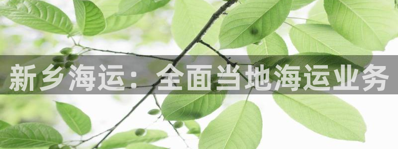 欢迎来到公海7109线路