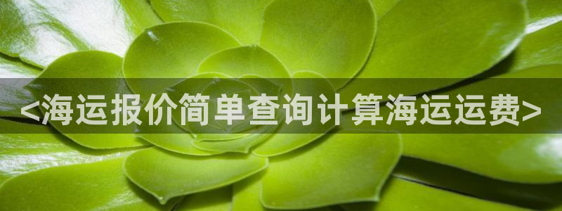 欢迎来到公海