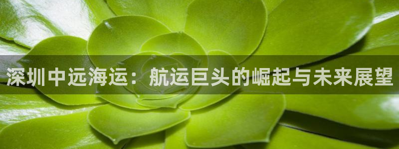 欢迎来到公海手机版710