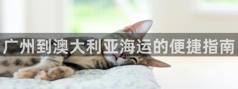 公海赌赌船最新版本更新内容