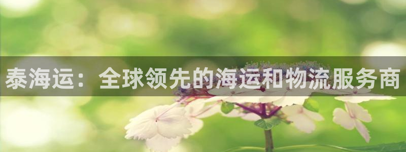 欢迎来到公海.欢迎来到赌船