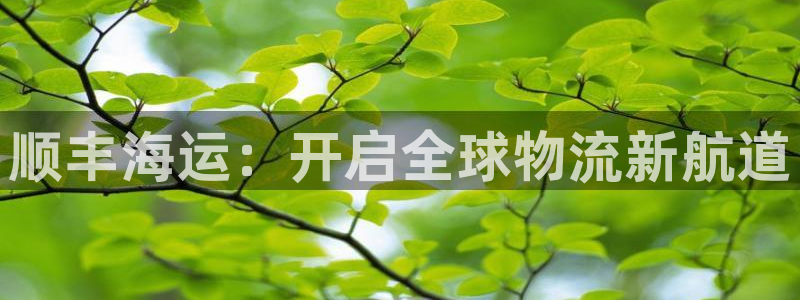 欢迎来公海欢迎来赌船!