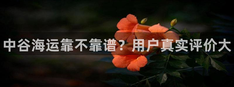 公海赌赌船710检测路线
