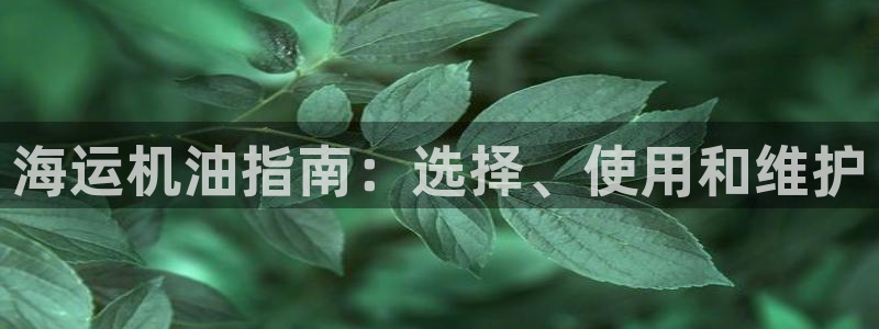公海赌赌船手机下载