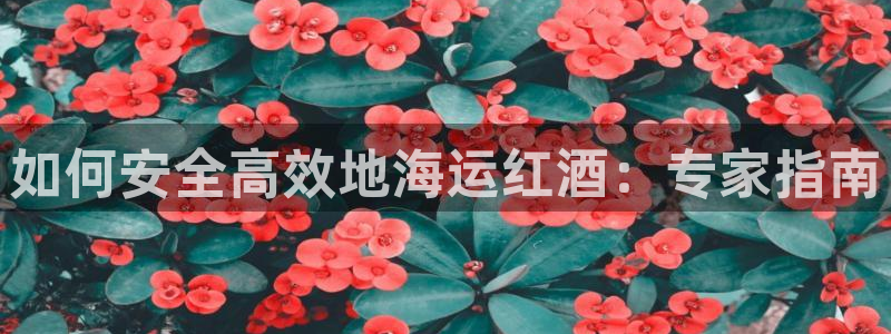 公海赌钱