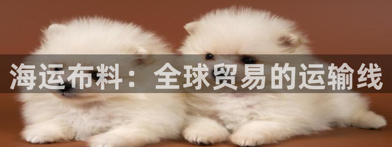欢迎来公海欢迎来到赌船