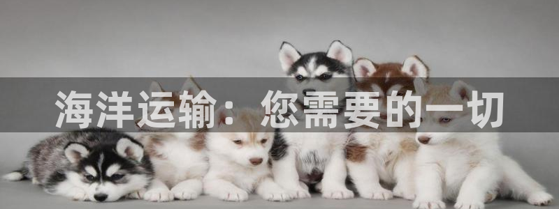 欢迎你来到公海欢迎你来到