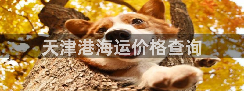 欢迎来到公海手机版710