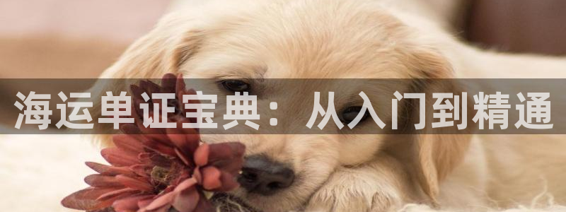 欢迎来到 公园