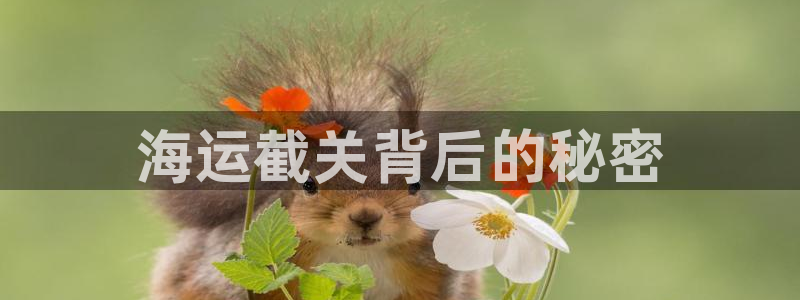 公海赌船网址710