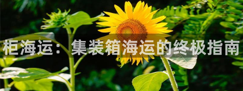 公海赌船吧