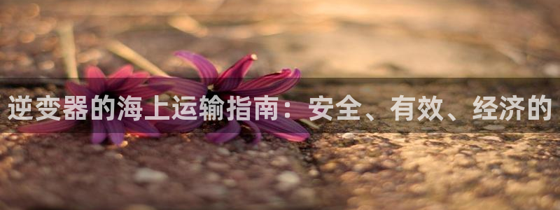 欢迎你来到公海赌