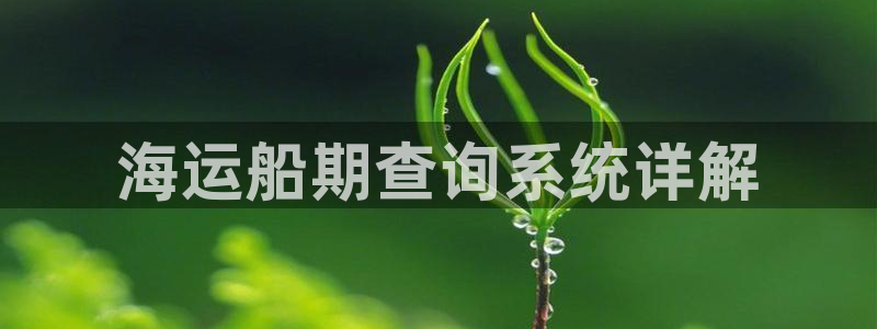 公海赌赌船官网