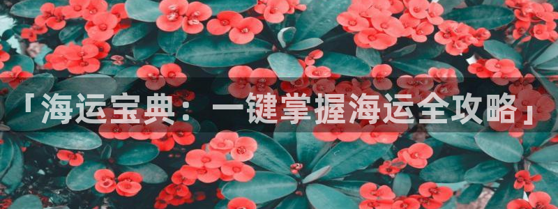 欢迎你来到公主的海岛