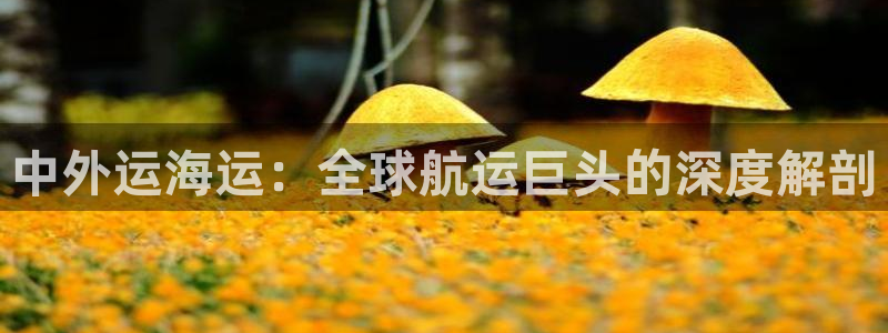 公海赌赌船