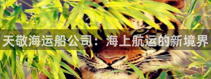 欢迎来到赌船公海710