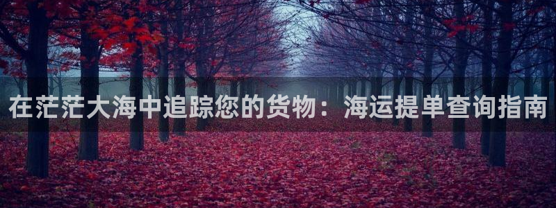 欢迎你来到公海赌