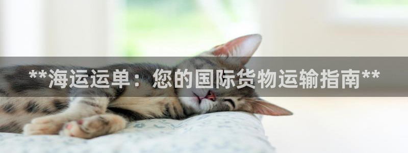 欢迎来公海欢迎来到赌船