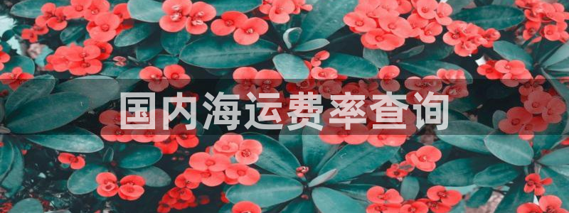 公海赌赌船官网是真的吗