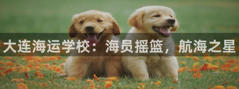 公海赌赌船利息宝是真的吗