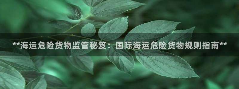 欢迎来到海边