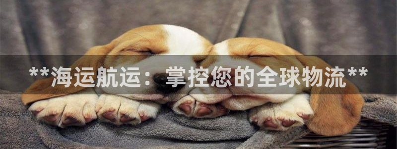 欢迎来到公海555000