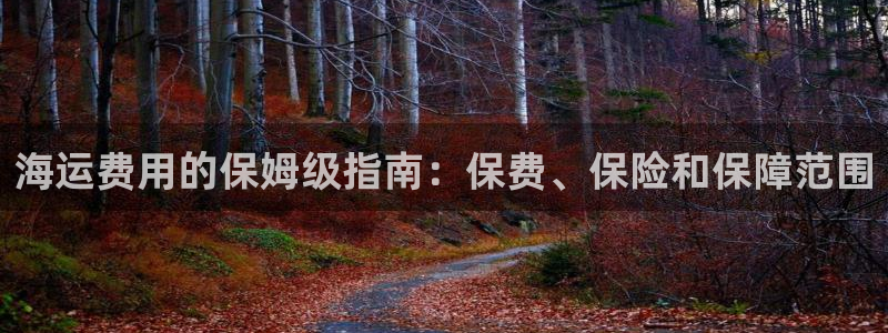 欢迎你来到公主的海岛