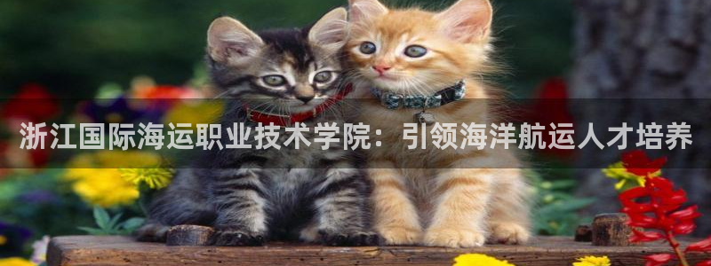 欢迎来到公海7109线路