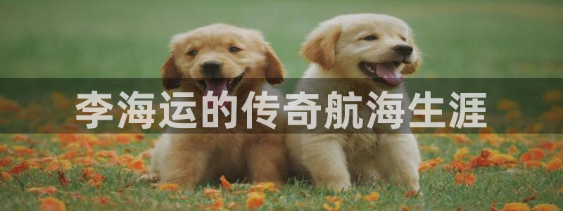 欢迎来到海牛星简谱