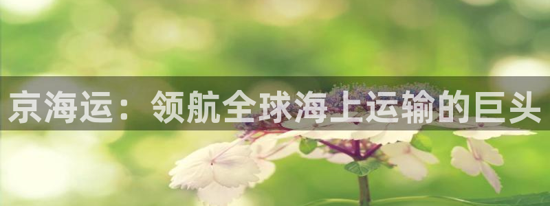欢迎你来到公海 赌船