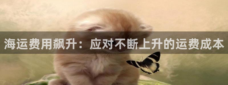 公海船赌网站是多少