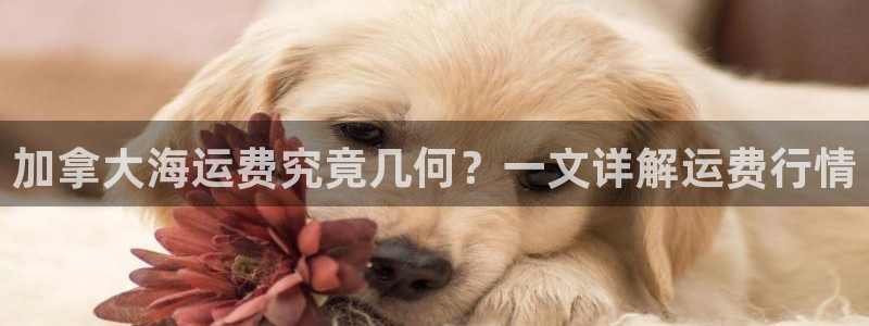公海赌钱犯法吗