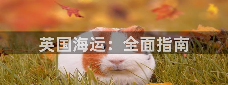 欢迎你来到公海欢迎你来到赌船701