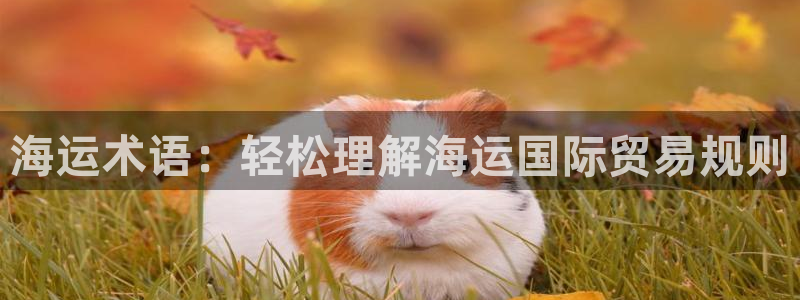 去公海赌博合法吗