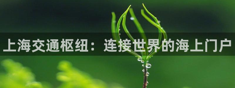 去公海赌博合法吗