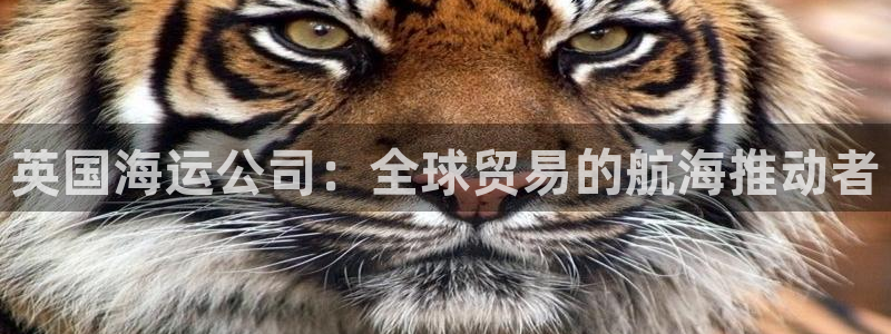 公海赌赌船官网jc710 下载