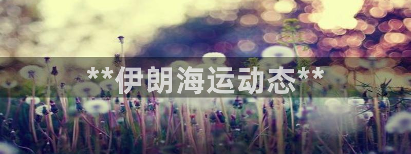 公海赌赌船快速充值
