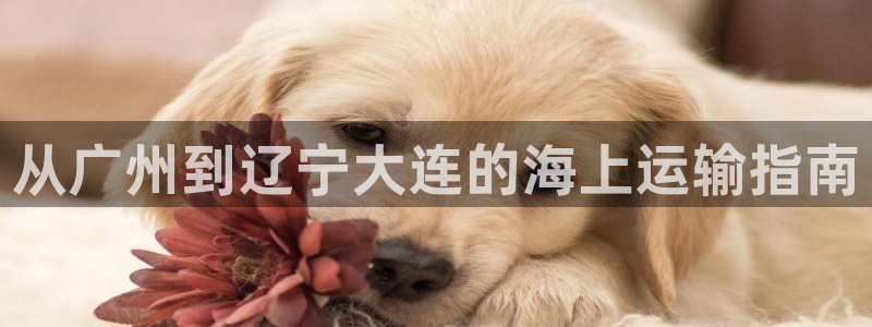 欢迎来到g港