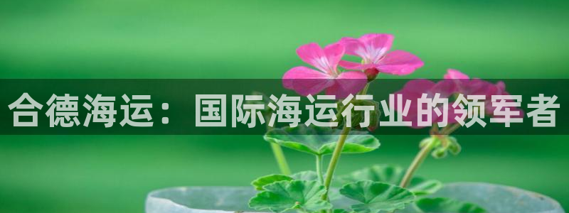 公海赌钱犯法吗