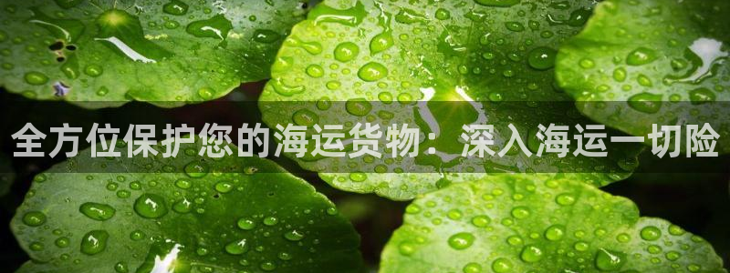 欢迎你来到公海欢迎你来到赌船