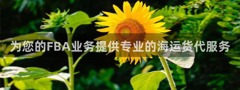 欢迎你来到公海 赌船