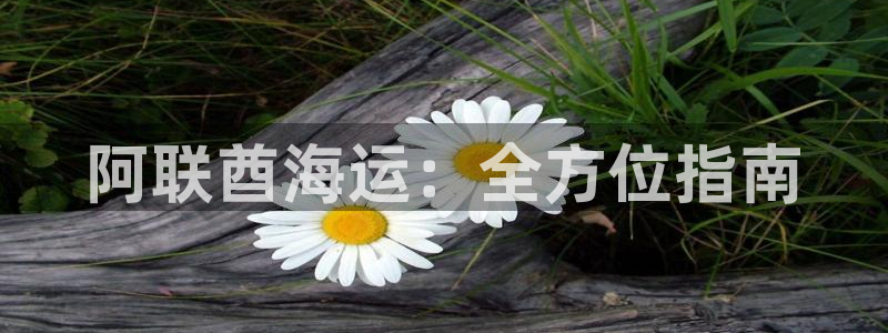 欢迎来到大海
